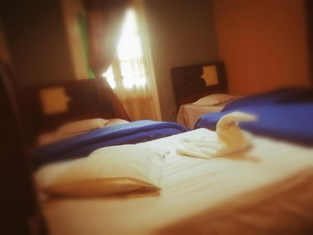 Hostel Centro Citta